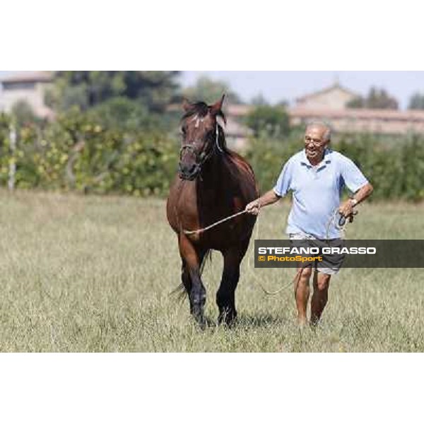 Varenne\'s father, Waikiki Beach born 30th may 1984 Speedy Somolli and Hula Lobell Anzola dell\'Emilia,10th sept.2013 ph.Stefano Grasso