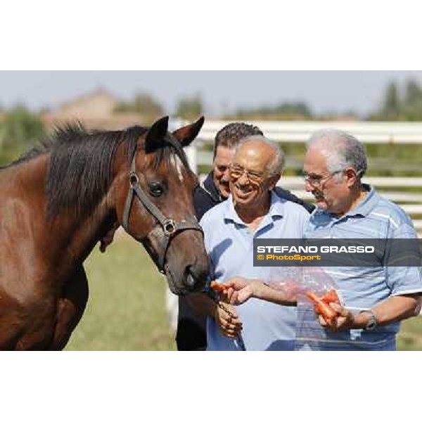 Varenne\'s father, Waikiki Beach born 30th may 1984 Speedy Somolli and Hula Lobell Anzola dell\'Emilia,10th sept.2013 ph.Stefano Grasso