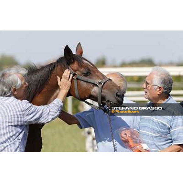 Varenne\'s father, Waikiki Beach born 30th may 1984 Speedy Somolli and Hula Lobell Anzola dell\'Emilia,10th sept.2013 ph.Stefano Grasso