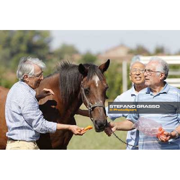 Varenne\'s father, Waikiki Beach born 30th may 1984 Speedy Somolli and Hula Lobell Anzola dell\'Emilia,10th sept.2013 ph.Stefano Grasso