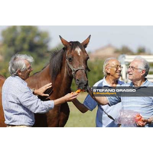 Varenne\'s father, Waikiki Beach born 30th may 1984 Speedy Somolli and Hula Lobell Anzola dell\'Emilia,10th sept.2013 ph.Stefano Grasso
