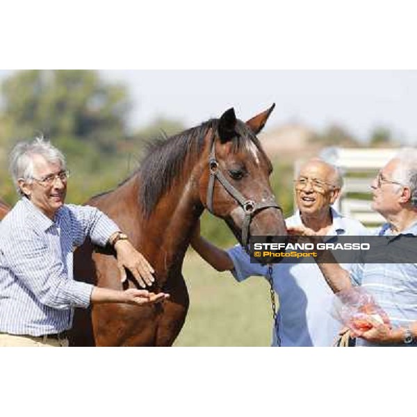 Varenne\'s father, Waikiki Beach born 30th may 1984 Speedy Somolli and Hula Lobell Anzola dell\'Emilia,10th sept.2013 ph.Stefano Grasso