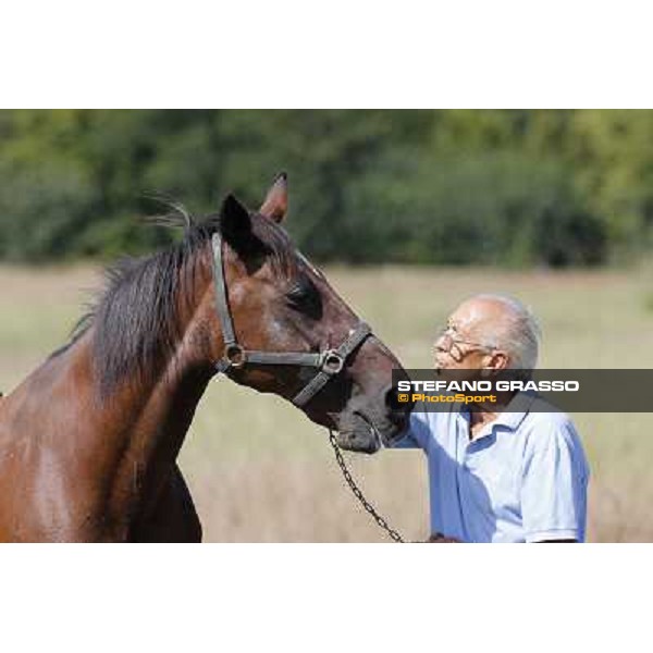 Varenne\'s father, Waikiki Beach born 30th may 1984 Speedy Somolli and Hula Lobell Anzola dell\'Emilia,10th sept.2013 ph.Stefano Grasso
