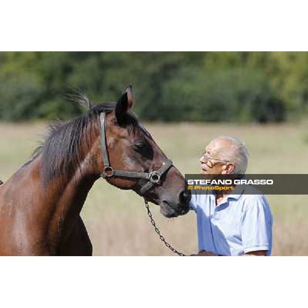 Varenne\'s father, Waikiki Beach born 30th may 1984 Speedy Somolli and Hula Lobell Anzola dell\'Emilia,10th sept.2013 ph.Stefano Grasso
