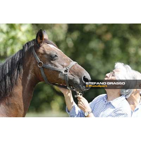 Varenne\'s father, Waikiki Beach born 30th may 1984 Speedy Somolli and Hula Lobell Anzola dell\'Emilia,10th sept.2013 ph.Stefano Grasso