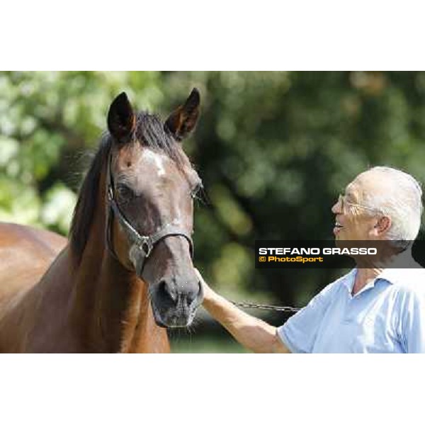 Varenne\'s father, Waikiki Beach born 30th may 1984 Speedy Somolli and Hula Lobell Anzola dell\'Emilia,10th sept.2013 ph.Stefano Grasso