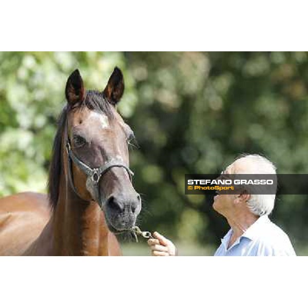 Varenne\'s father, Waikiki Beach born 30th may 1984 Speedy Somolli and Hula Lobell Anzola dell\'Emilia,10th sept.2013 ph.Stefano Grasso