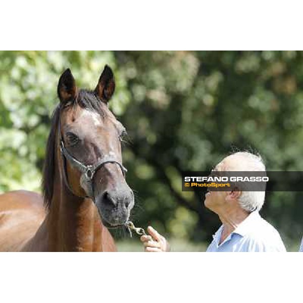 Varenne\'s father, Waikiki Beach born 30th may 1984 Speedy Somolli and Hula Lobell Anzola dell\'Emilia,10th sept.2013 ph.Stefano Grasso