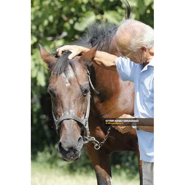 Varenne\'s father, Waikiki Beach born 30th may 1984 Speedy Somolli and Hula Lobell Anzola dell\'Emilia,10th sept.2013 ph.Stefano Grasso