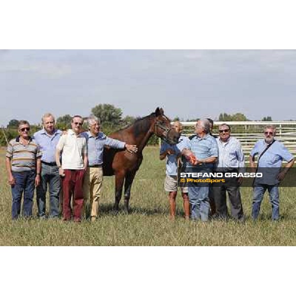 Varenne\'s father, Waikiki Beach born 30th may 1984 Speedy Somolli and Hula Lobell Anzola dell\'Emilia,10th sept.2013 ph.Stefano Grasso