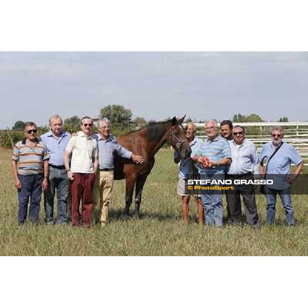Varenne\'s father, Waikiki Beach born 30th may 1984 Speedy Somolli and Hula Lobell Anzola dell\'Emilia,10th sept.2013 ph.Stefano Grasso
