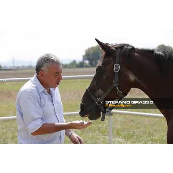 Varenne\'s father, Waikiki Beach born 30th may 1984 Speedy Somolli and Hula Lobell Anzola dell\'Emilia,10th sept.2013 ph.Stefano Grasso