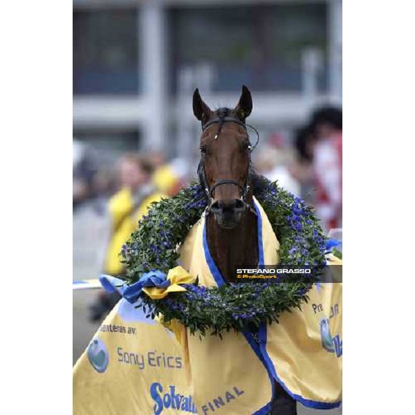 close up for Bellman Toll, winner of Sweden Cup Sony Ericcson Stockholm-Solvalla 28th may 2005 ph. Stefano Grasso