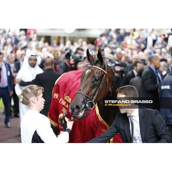 Thierry Jarnet and Treve win the Qatar Prix de l\'Arc de Triomphe Paris,Longchamp racecourse,6th oct,2013 ph.Stefano Grasso