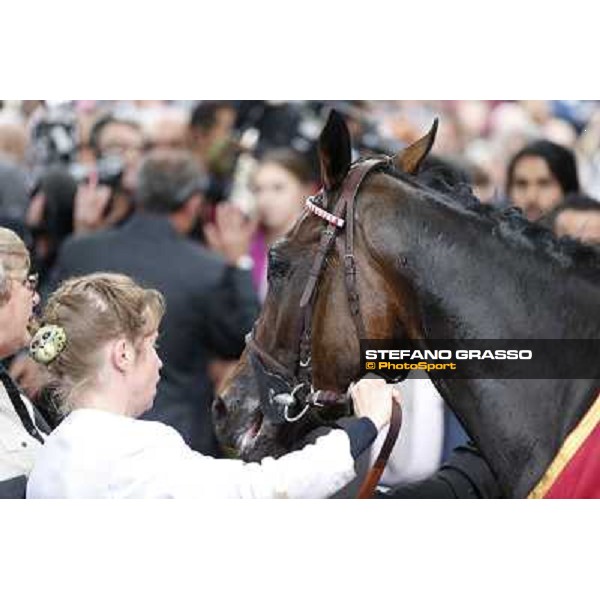 Thierry Jarnet and Treve win the Qatar Prix de l\'Arc de Triomphe Paris,Longchamp racecourse,6th oct,2013 ph.Stefano Grasso