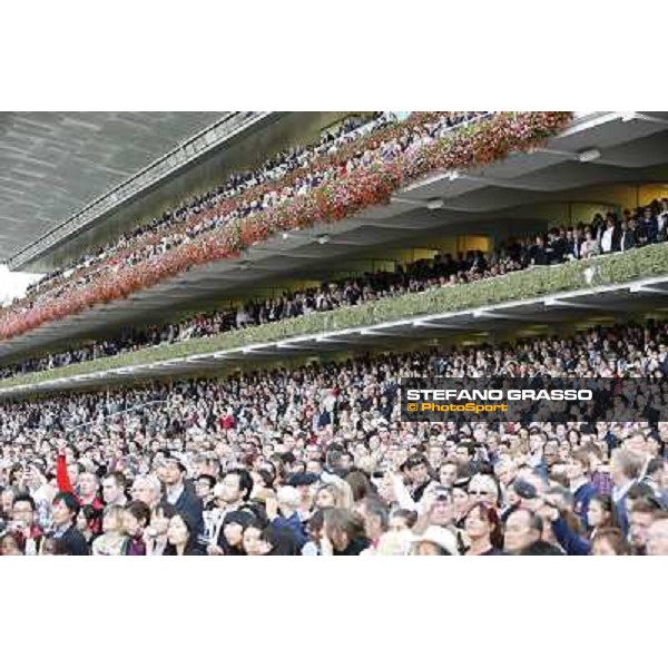 Thierry Jarnet and Treve win the Qatar Prix de l\'Arc de Triomphe Paris,Longchamp racecourse,6th oct,2013 ph.Stefano Grasso