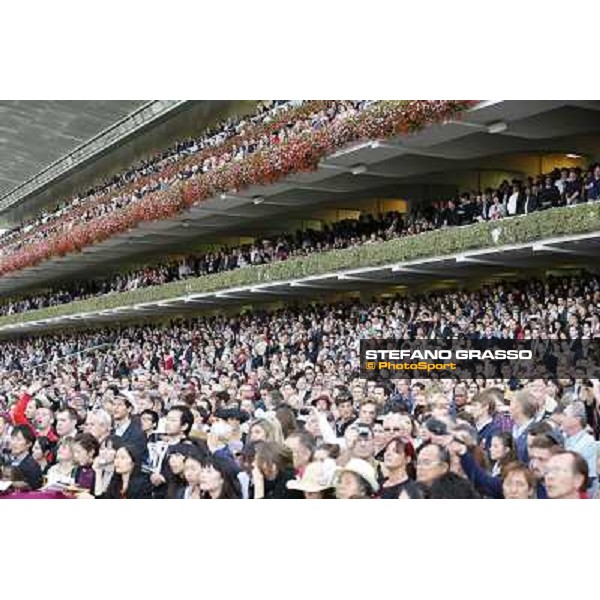 Thierry Jarnet and Treve win the Qatar Prix de l\'Arc de Triomphe Paris,Longchamp racecourse,6th oct,2013 ph.Stefano Grasso