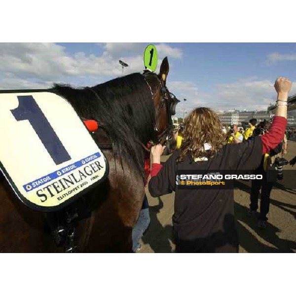Steinlager, winner of Elitloppet Statoil 2005, parading in front of 35.000 racegoers Stockholm, Solvalla 29th may 2005 ph. Stefano Grasso