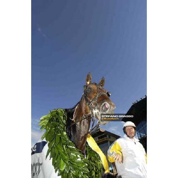 Steinlager, winner of Elitloppet Statoil 2005 Stockholm, Solvalla 29th may 2005 ph. Stefano Grasso
