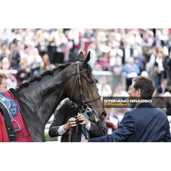 Indonesienne Paris,Longchamp racecourse,6th oct,2013 ph.Stefano Grasso