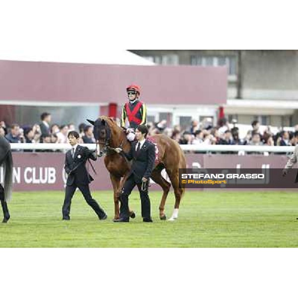 The Parade of the Qatar Prix de l\'Arc de Triomphe - Orfevre Paris,Longchamp racecourse,6th oct,2013 ph.Stefano Grasso
