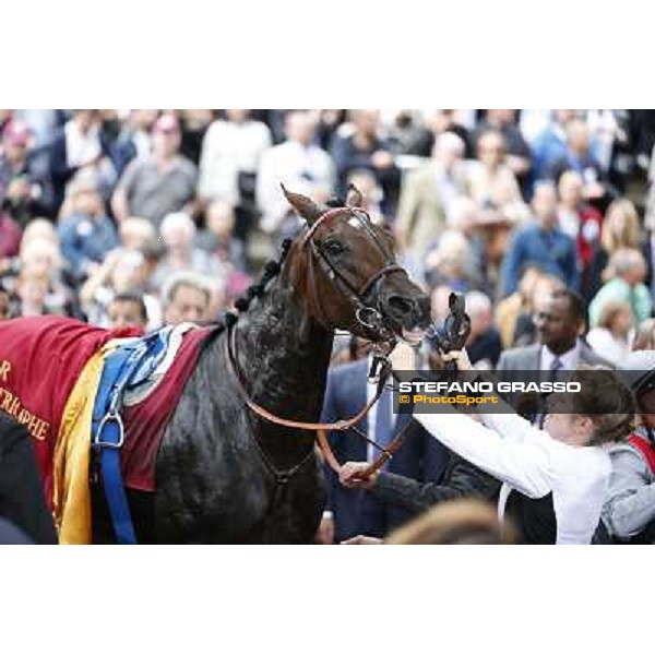Thierry Jarnet and Treve win the Qatar Prix de l\'Arc de Triomphe Paris,Longchamp racecourse,6th oct,2013 ph.Stefano Grasso