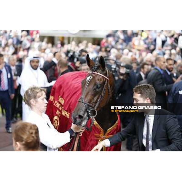 Thierry Jarnet and Treve win the Qatar Prix de l\'Arc de Triomphe Paris,Longchamp racecourse,6th oct,2013 ph.Stefano Grasso