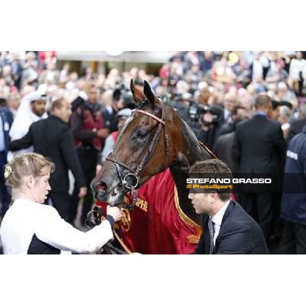 Thierry Jarnet and Treve win the Qatar Prix de l\'Arc de Triomphe Paris,Longchamp racecourse,6th oct,2013 ph.Stefano Grasso