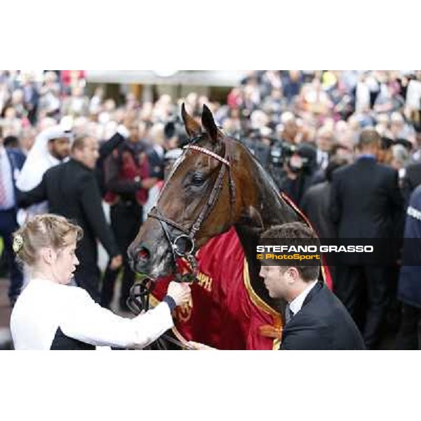 Thierry Jarnet and Treve win the Qatar Prix de l\'Arc de Triomphe Paris,Longchamp racecourse,6th oct,2013 ph.Stefano Grasso
