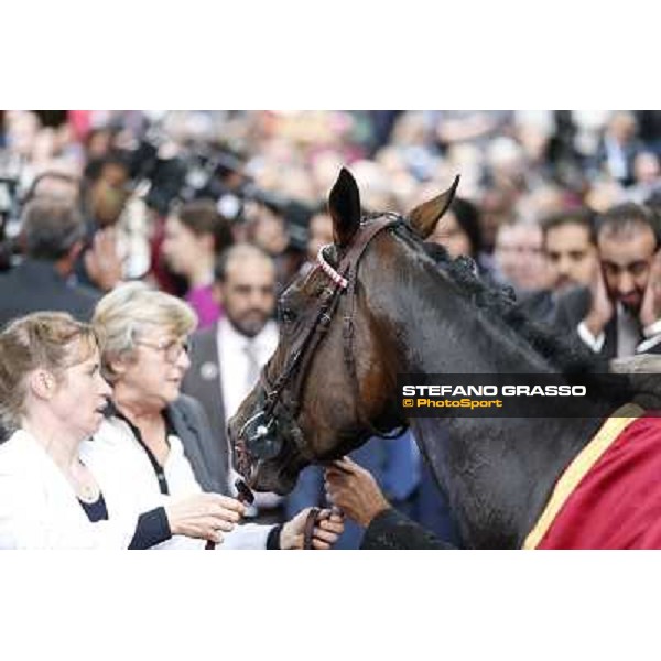 Thierry Jarnet and Treve win the Qatar Prix de l\'Arc de Triomphe Paris,Longchamp racecourse,6th oct,2013 ph.Stefano Grasso