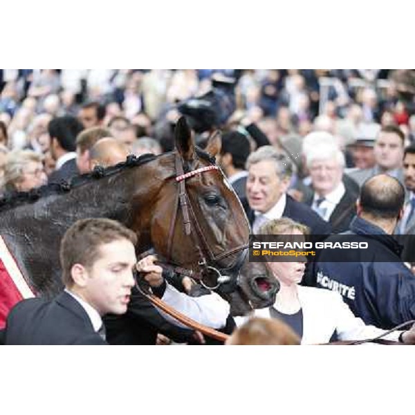 Thierry Jarnet and Treve win the Qatar Prix de l\'Arc de Triomphe Paris,Longchamp racecourse,6th oct,2013 ph.Stefano Grasso