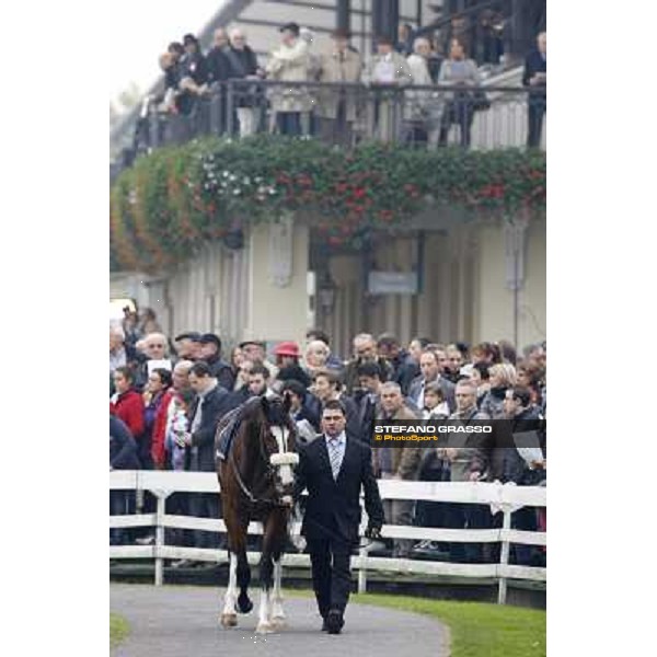Earl of Tinsdal parades before winning the Gran Premio del Jockey Club Milano.San Siro racecourse,20th oct.2013 ph.Stefano Grasso