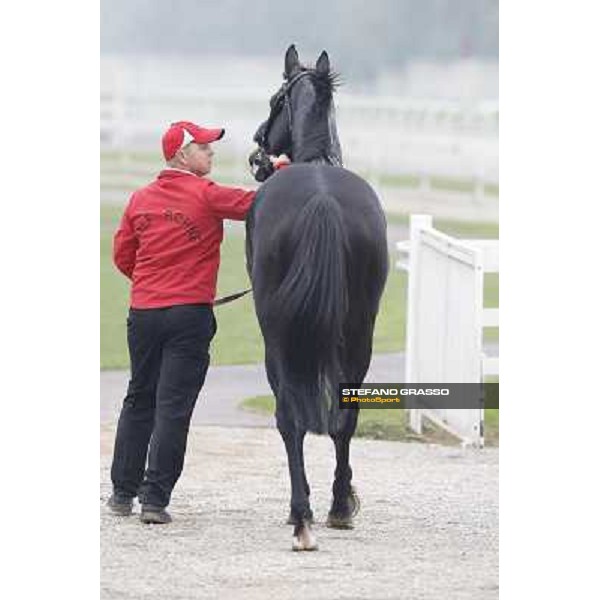 Nabucco and his groom after winning the Premio del Piazzale Milano,San Siro racecourse,20th oct.2013 ph.Stefano Grasso