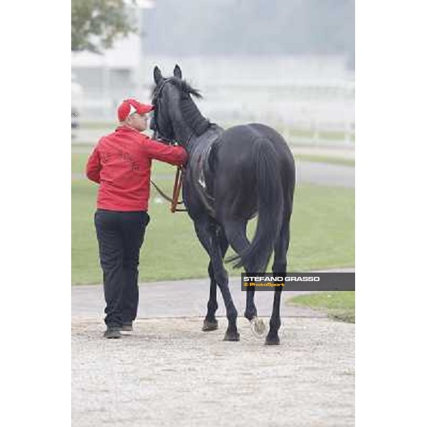 Nabucco and his groom after winning the Premio del Piazzale Milano,San Siro racecourse,20th oct.2013 ph.Stefano Grasso