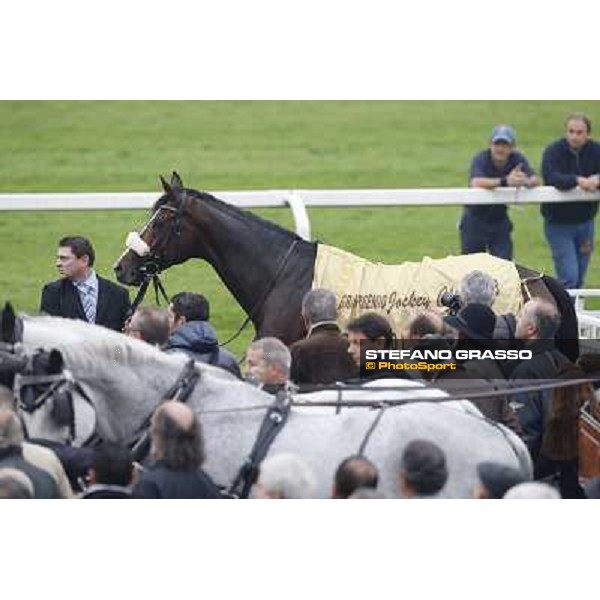Earl of Tinsdal in the winner circle of the Gran Premio del Jockey Club Milano,San Siro racecourse,20th oct.2013 ph.Stefano Grasso