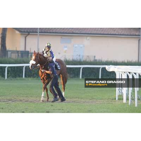 Fabio Branca and Charity Line after winning the Gran Premio Longines Lydia Tesio Rome, Capannelle racecourse,27th oct.2013 ph.Stefano Grasso
