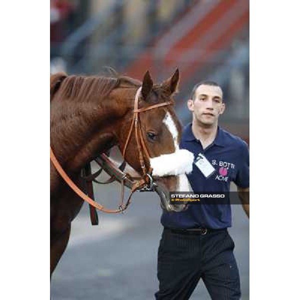 Charity Line winner of the Gran Premio Longines Lydia Tesio Rome, Capannelle racecourse,27th oct.2013 ph.Stefano Grasso