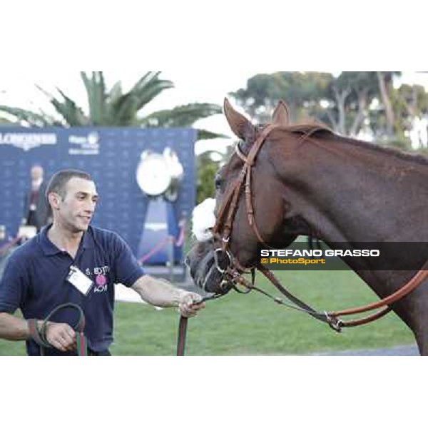 Charity Line after winning the Gran Premio Longines Lydia Tesio Rome, Capannelle racecourse,27th oct.2013 ph.Stefano Grasso