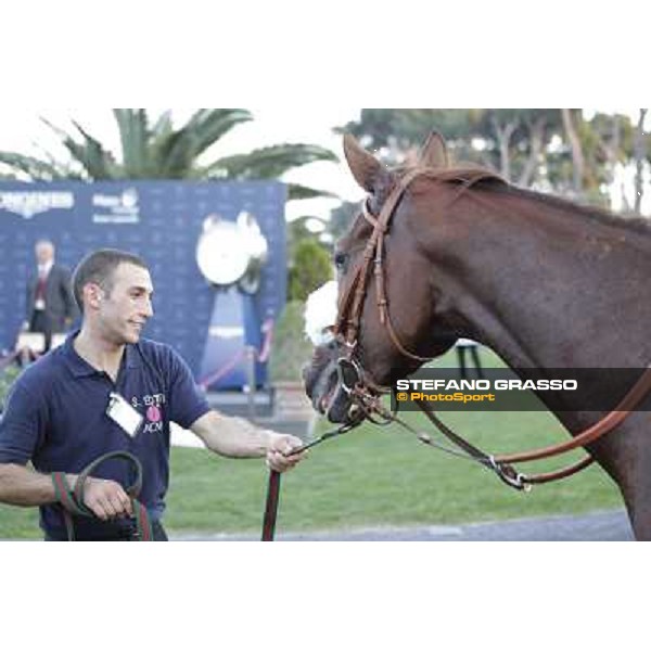 Charity Line after winning the Gran Premio Longines Lydia Tesio Rome, Capannelle racecourse,27th oct.2013 ph.Stefano Grasso