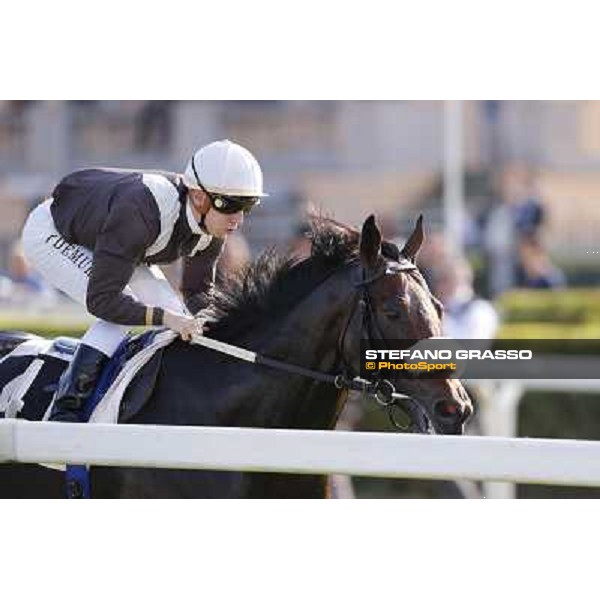 Cristian Demuro on Peng winner of Premio Livermore Roma,Capannelle racecourse,27th oct.2013 ph.Stefano Grasso