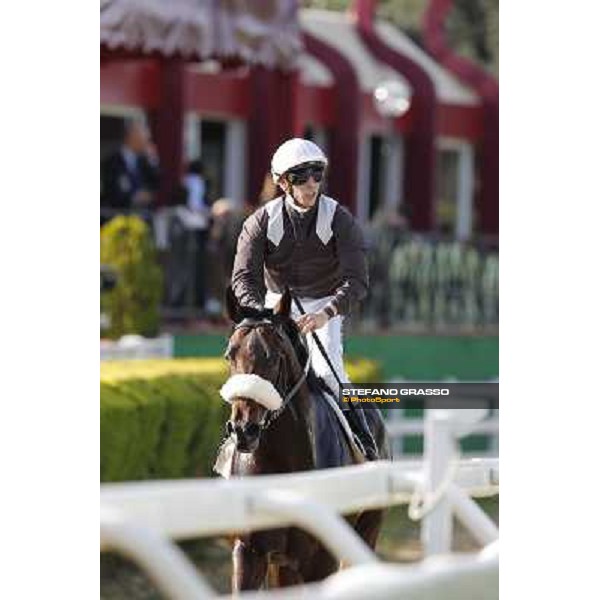 Cristian Demuro on Peng winner of Premio Livermore Roma,Capannelle racecourse,27th oct.2013 ph.Stefano Grasso