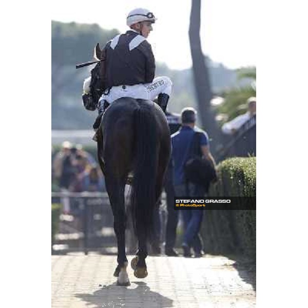 Cristian Demuro on Peng winner of Premio Livermore Roma,Capannelle racecourse,27th oct.2013 ph.Stefano Grasso