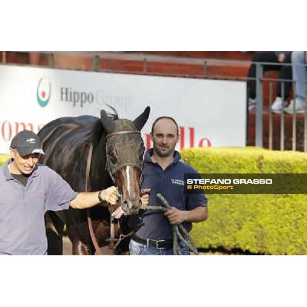 Omaticaya after winning the Premio Ubaldo Pandolfi Roma,Capannelle racecourse,27th oct.2013 ph.Stefano Grasso