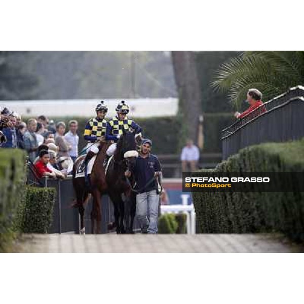 Celticus and Drive to Hell Roma,Capannelle racecourse,27th oct.2013 ph.Stefano Grasso