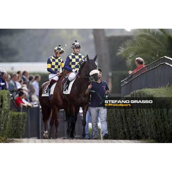 Celticus and Drive to Hell Roma,Capannelle racecourse,27th oct.2013 ph.Stefano Grasso