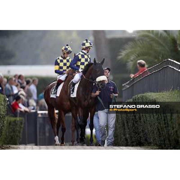 Celticus and Drive to Hell Roma,Capannelle racecourse,27th oct.2013 ph.Stefano Grasso