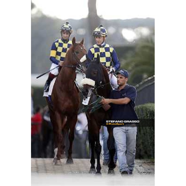 Celticus and Drive to Hell Roma,Capannelle racecourse,27th oct.2013 ph.Stefano Grasso