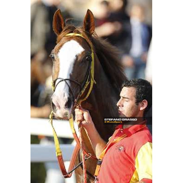 Principiante Roma,Capannelle racecourse,27th oct.2013 ph.Stefano Grasso