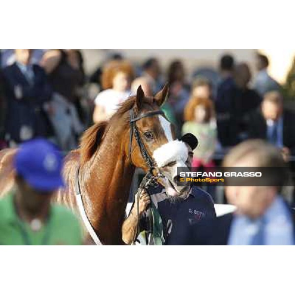 Keshiro Roma,Capannelle racecourse,27th oct.2013 ph.Stefano Grasso