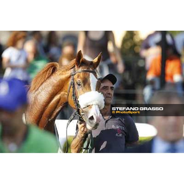 Keshiro Roma,Capannelle racecourse,27th oct.2013 ph.Stefano Grasso